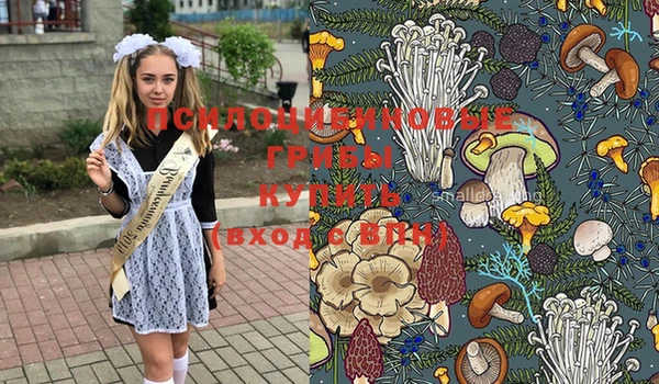 ECSTASY Михайловск