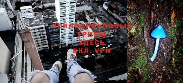 марки lsd Михайловка