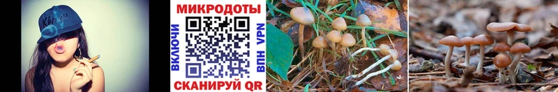 Галлюциногенные грибы мухоморы  Купить закладки  Чусовой 